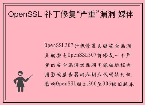 OpenSSL 补丁修复“严重”漏洞 媒体