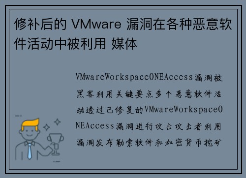 修补后的 VMware 漏洞在各种恶意软件活动中被利用 媒体